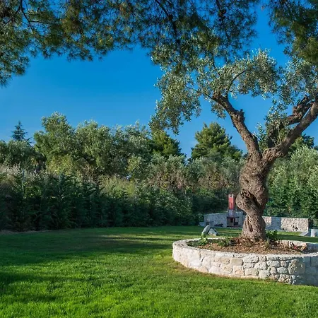 Mirabilia Boutique Отель 3*